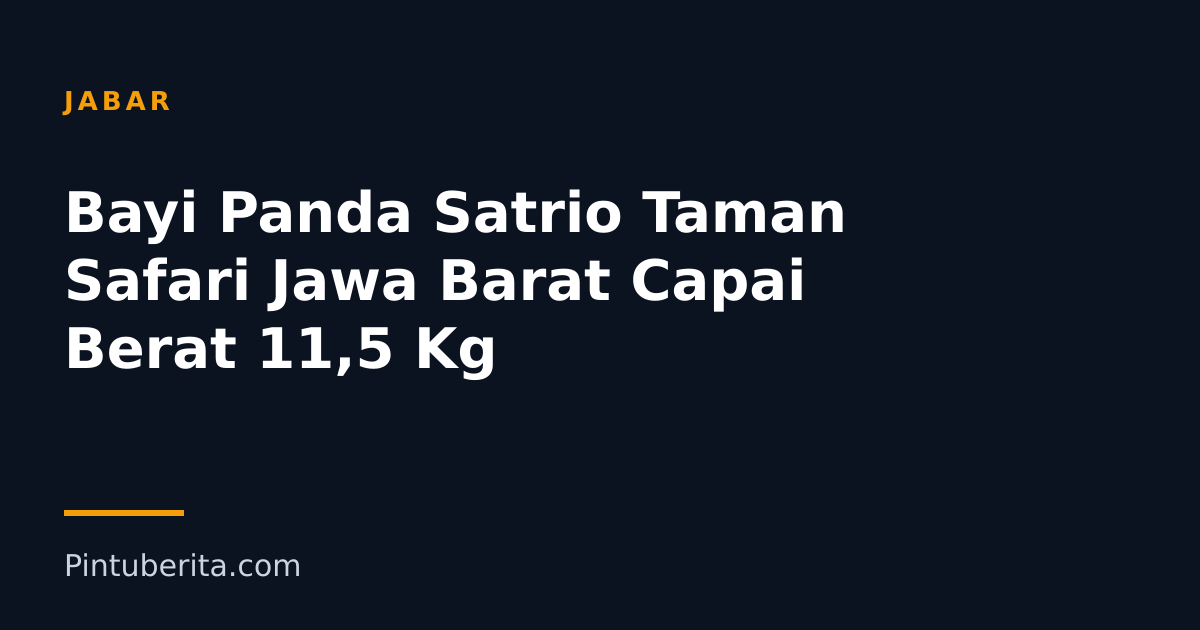 Bayi Panda Satrio Taman Safari Jawa Barat Capai Berat 11,5 Kg