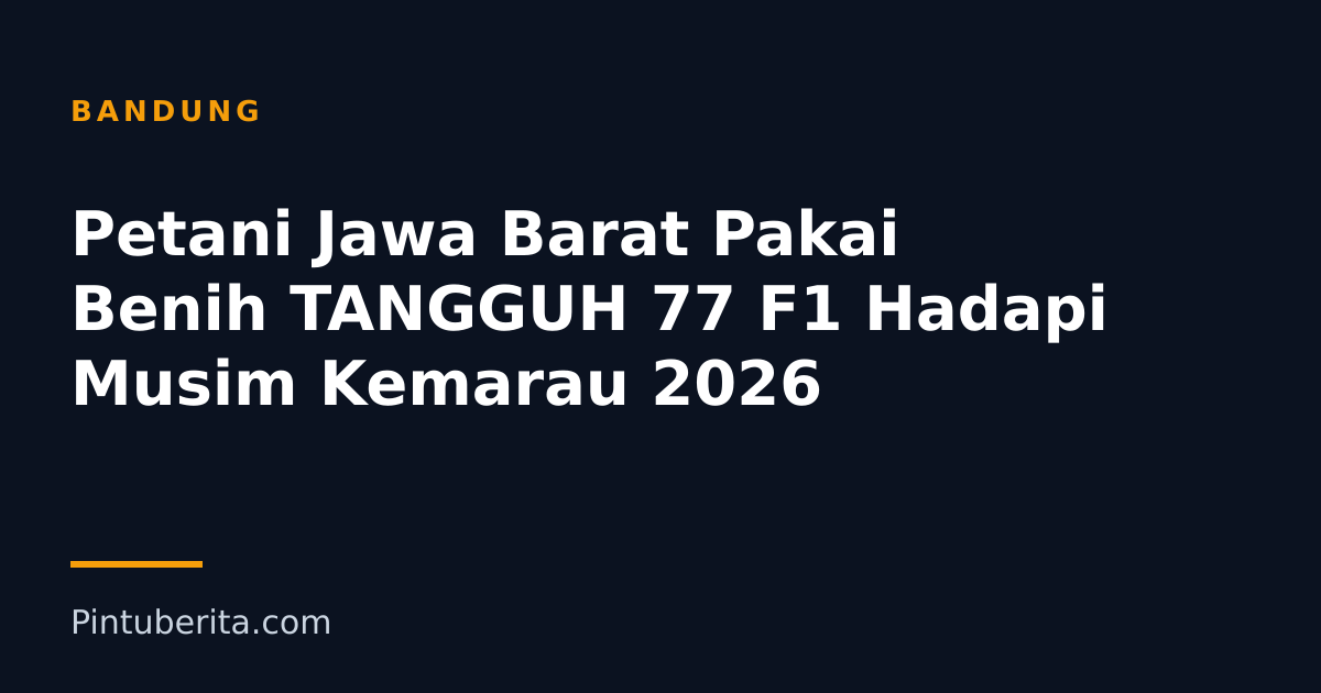 Petani Jawa Barat Pakai Benih TANGGUH 77 F1 Hadapi Musim Kemarau 2026