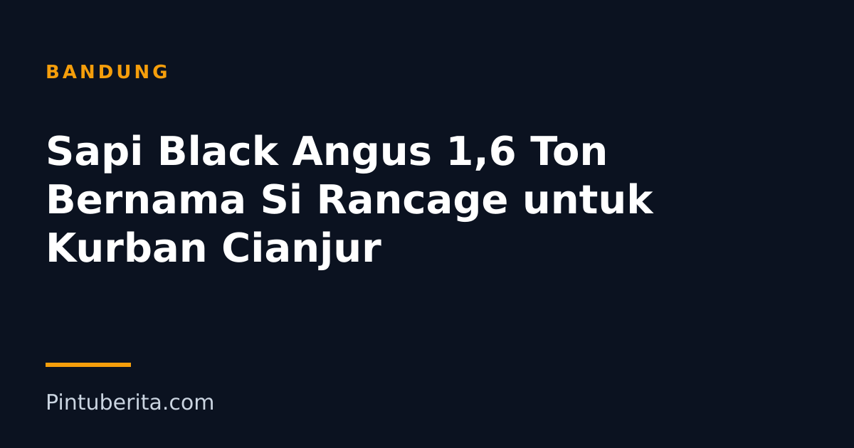 Sapi Black Angus 1,6 Ton Bernama Si Rancage untuk Kurban Cianjur