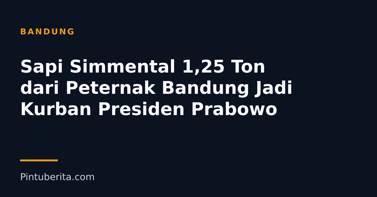 Sapi Simmental 1,25 Ton dari Peternak Bandung Jadi Kurban Presiden Prabowo
