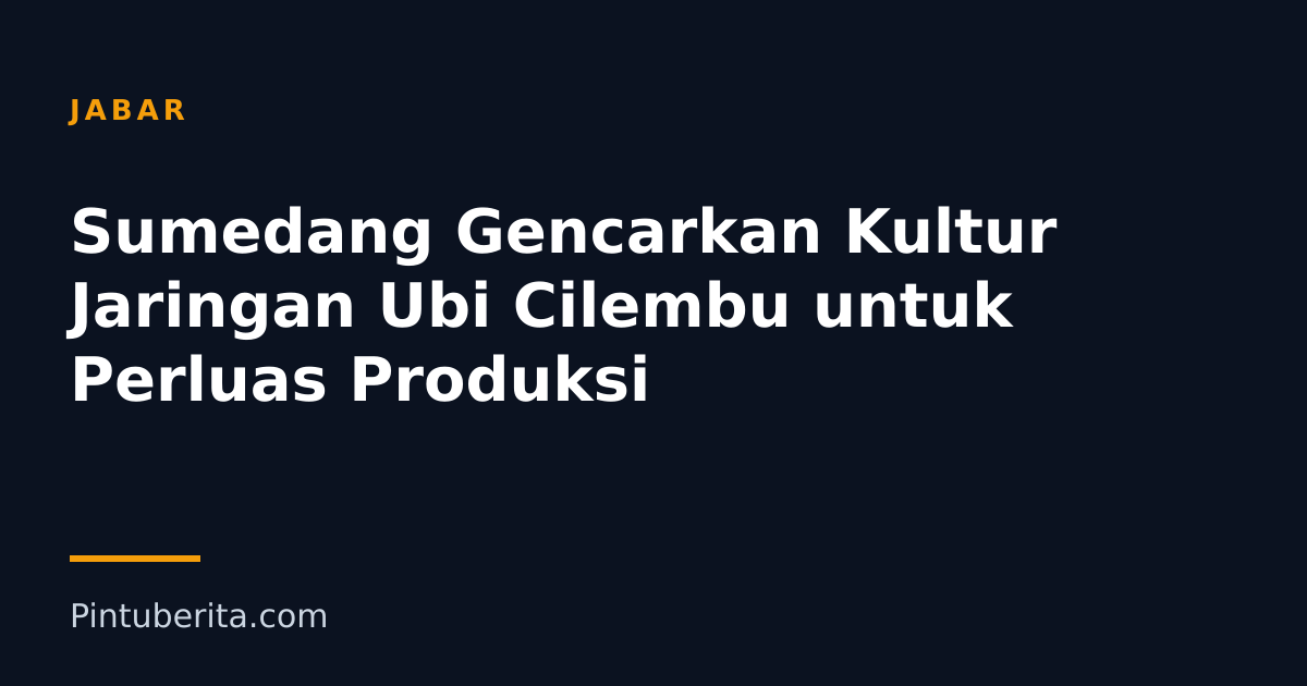 Sumedang Gencarkan Kultur Jaringan Ubi Cilembu untuk Perluas Produksi